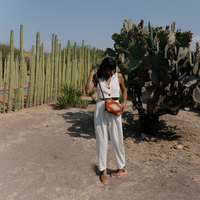 Tierra del Sol Convertible Clutch